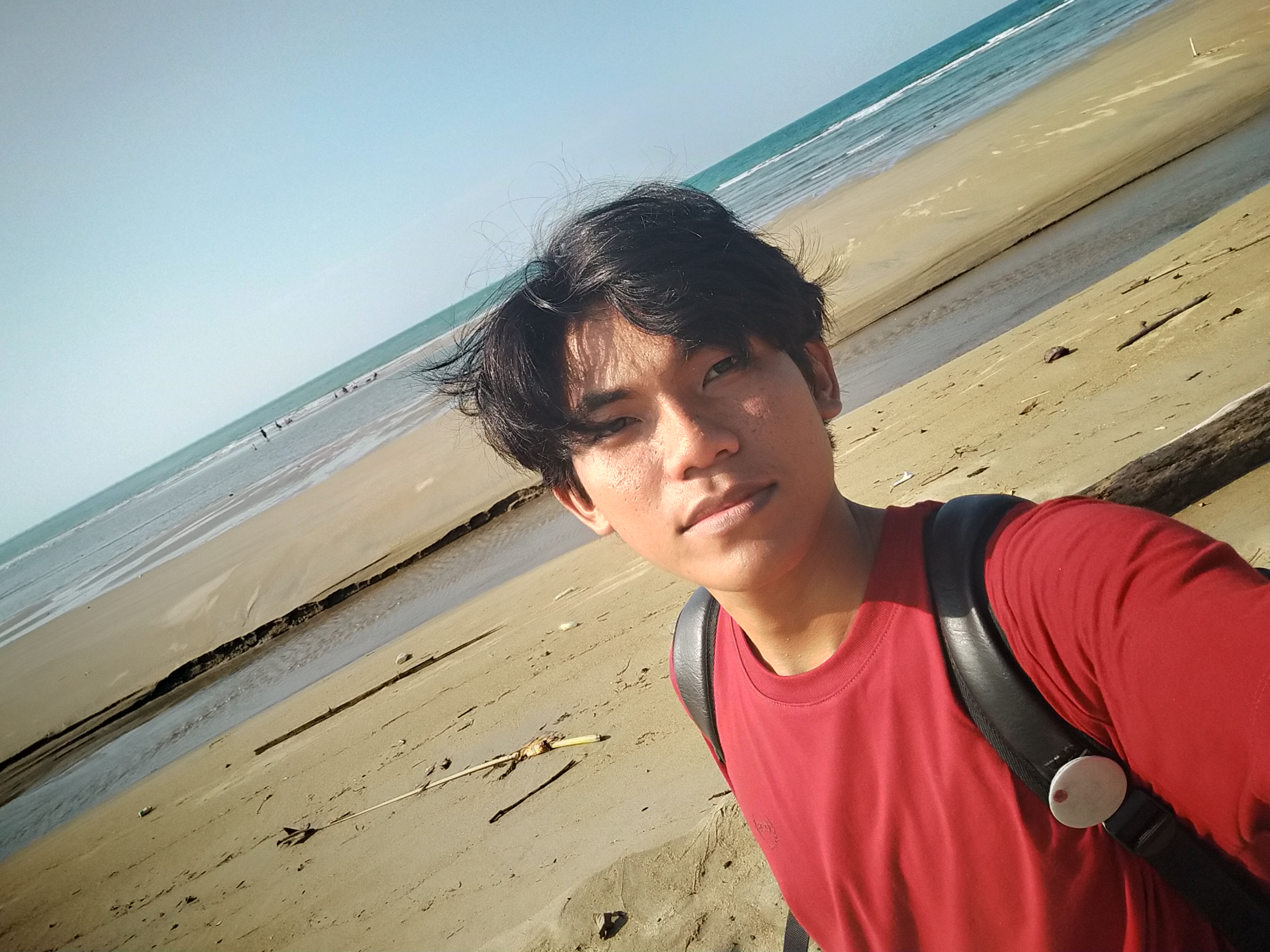 Panass
